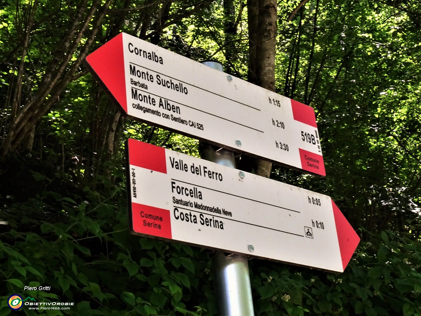 77 Siamo scesi dal Passo Barbata sul sent. 519B.JPG